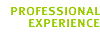 Professional Experience
